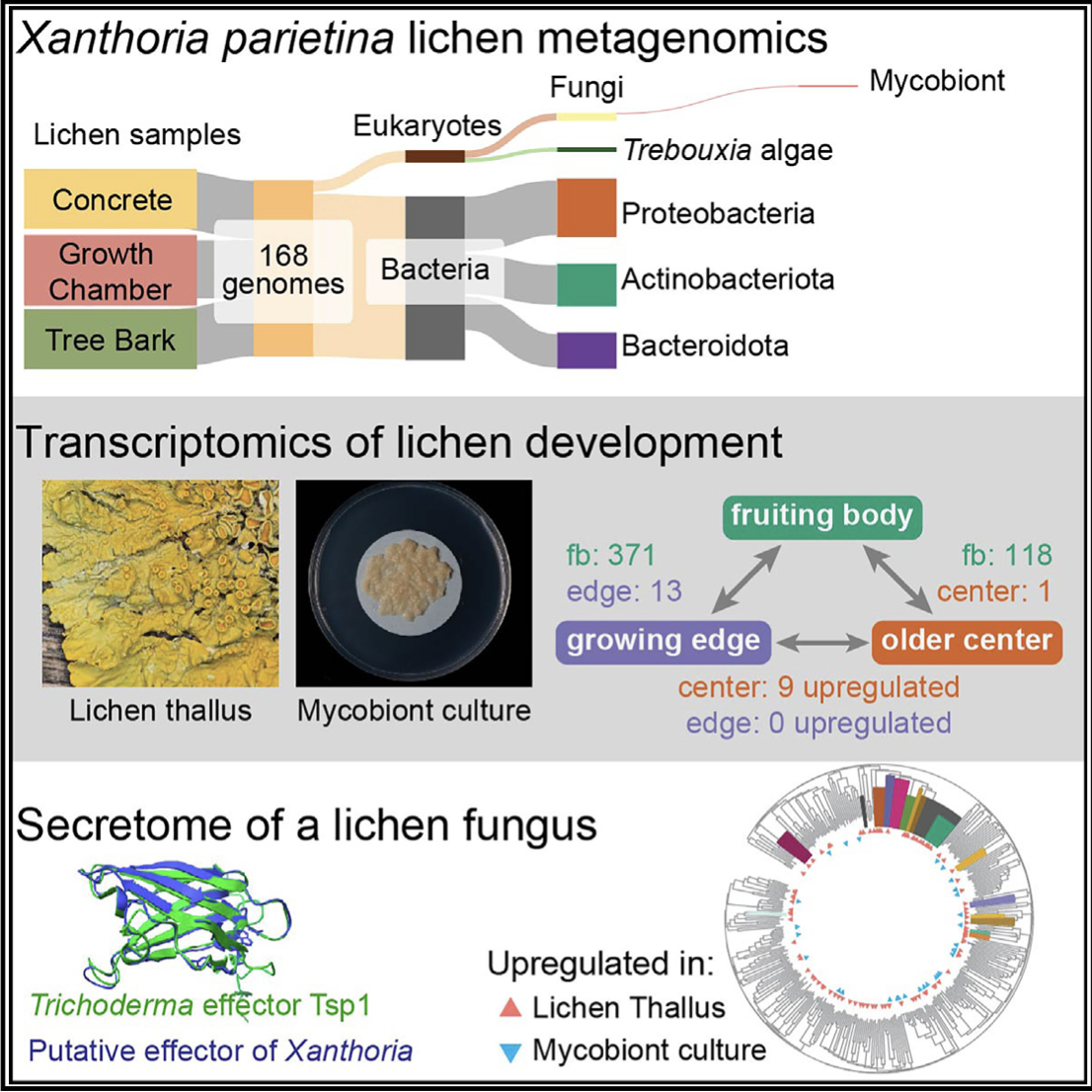 Preprint by Gulnara