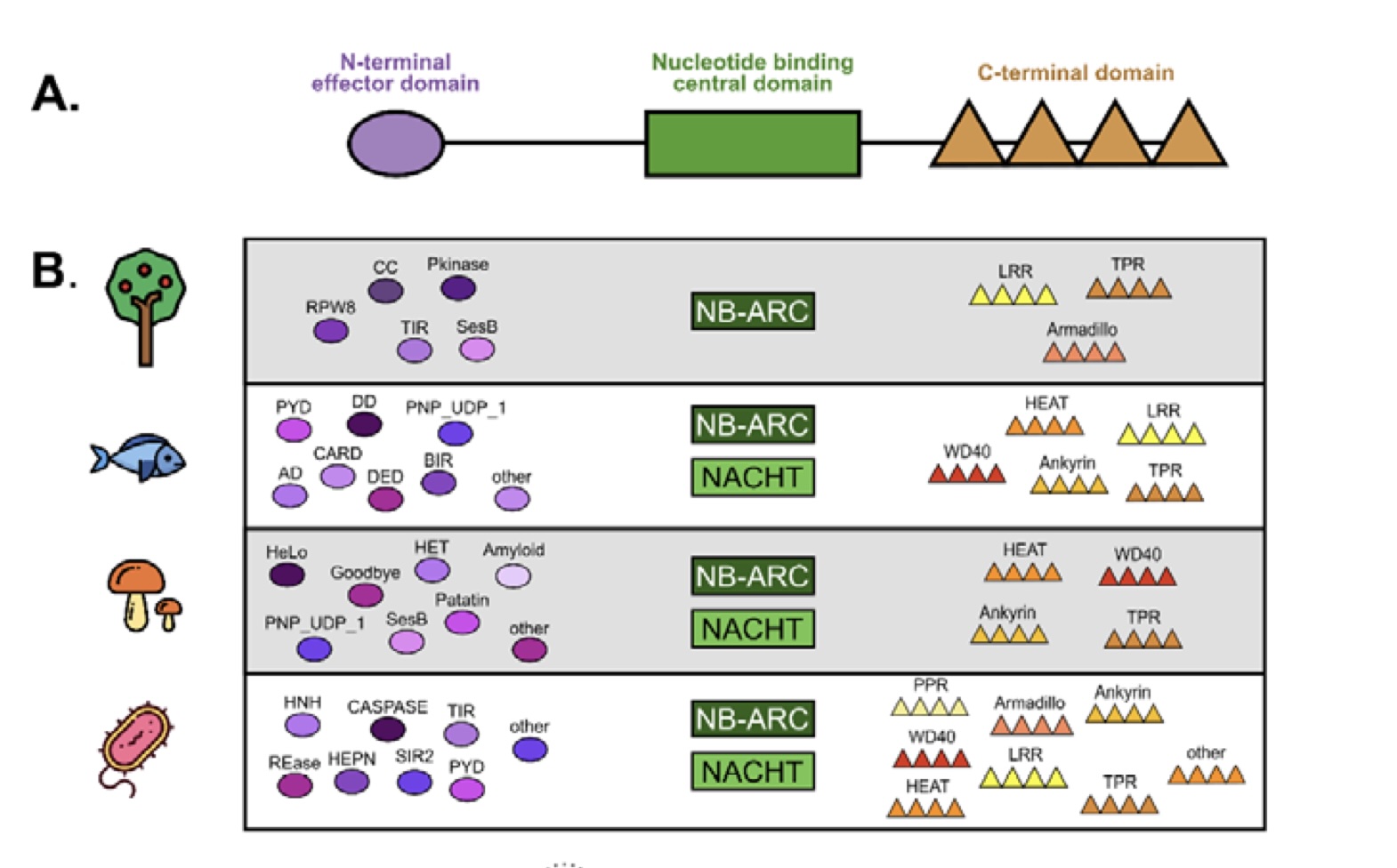 Preprint with colleagues from Montpellier