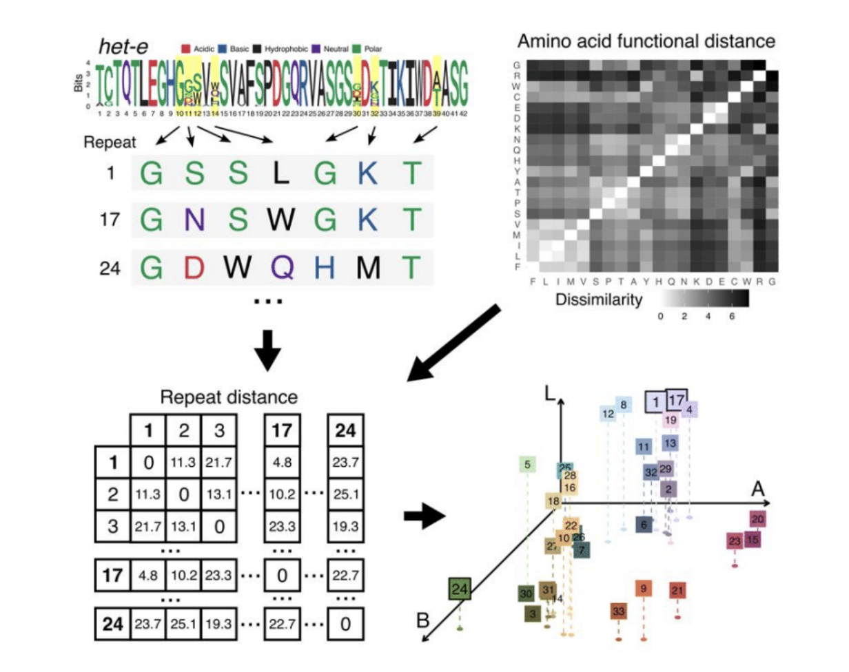 Lore’s paper on NOD-like receptors accepted for publication in Microbial Genomics!