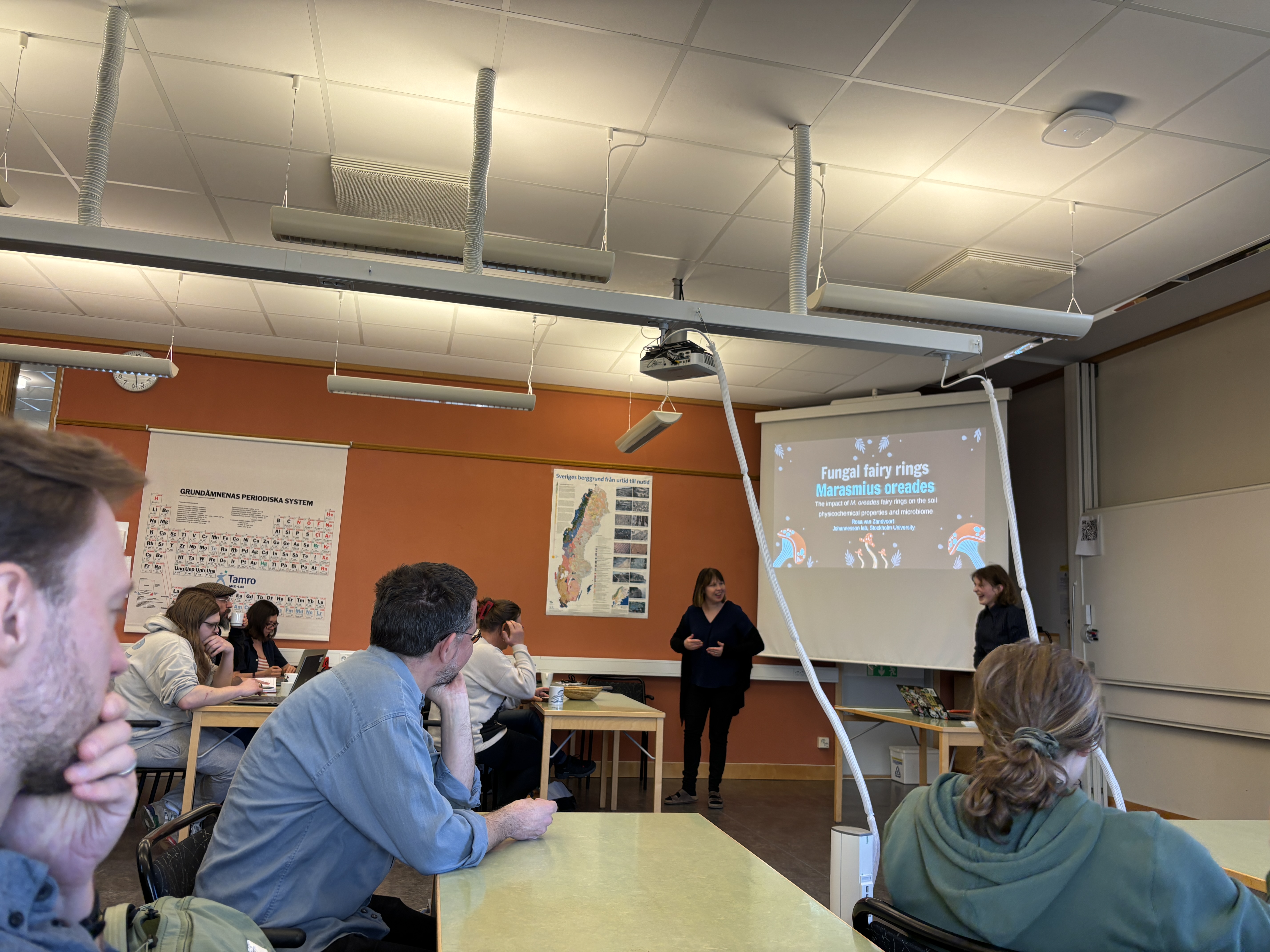 A Humongous Fungus workshop