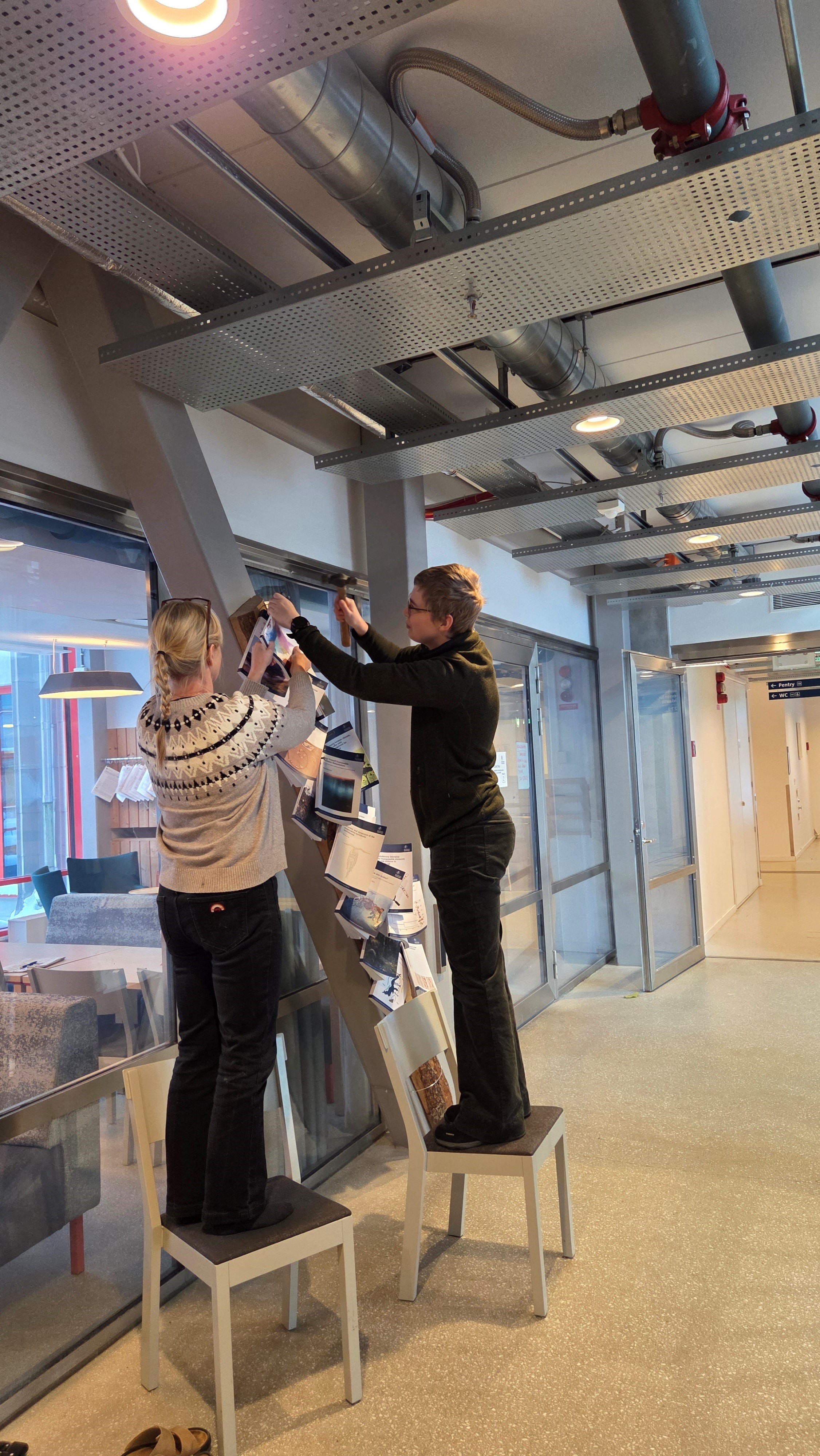 Noah nails their thesis