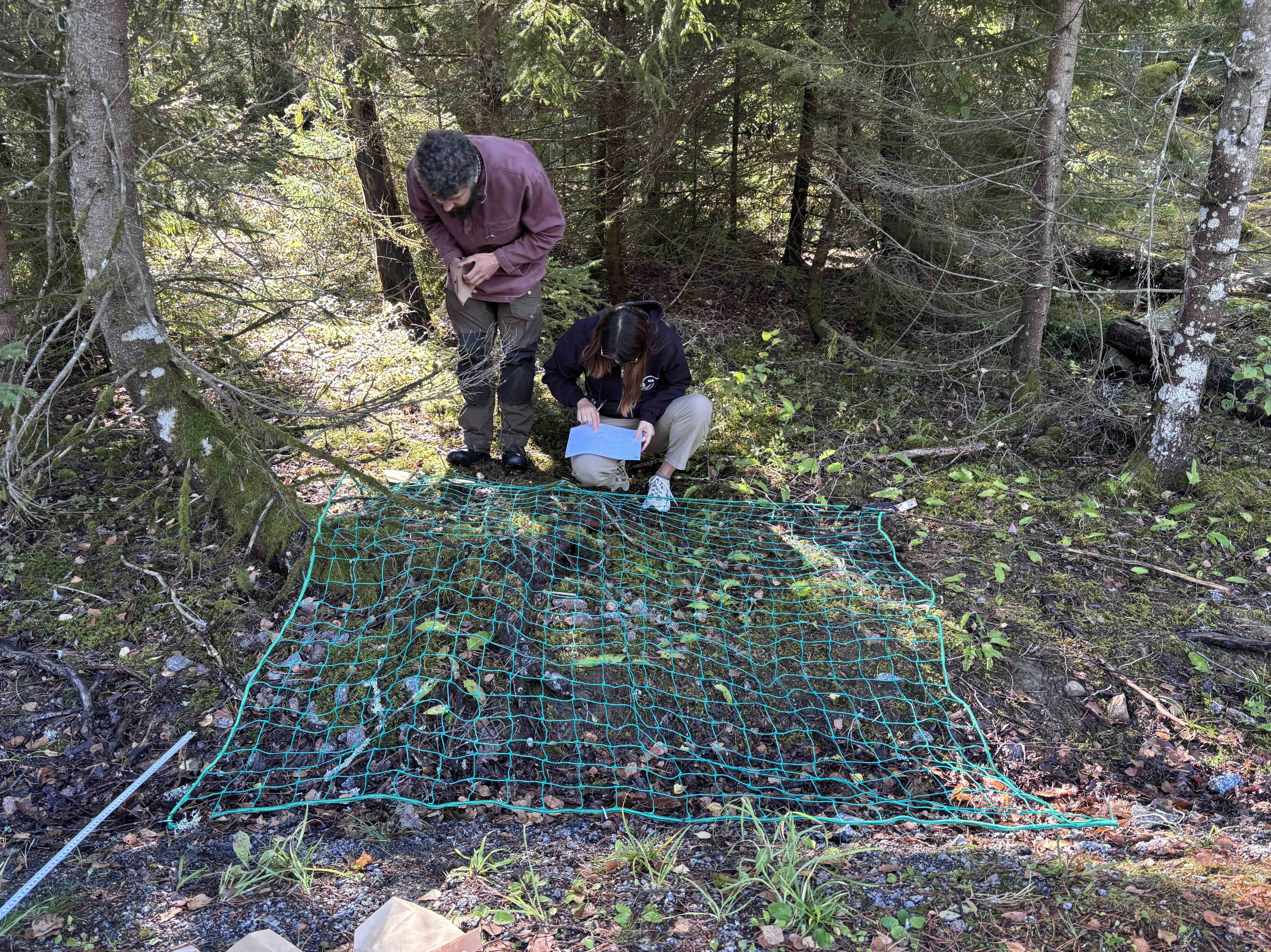 Sampling season is here