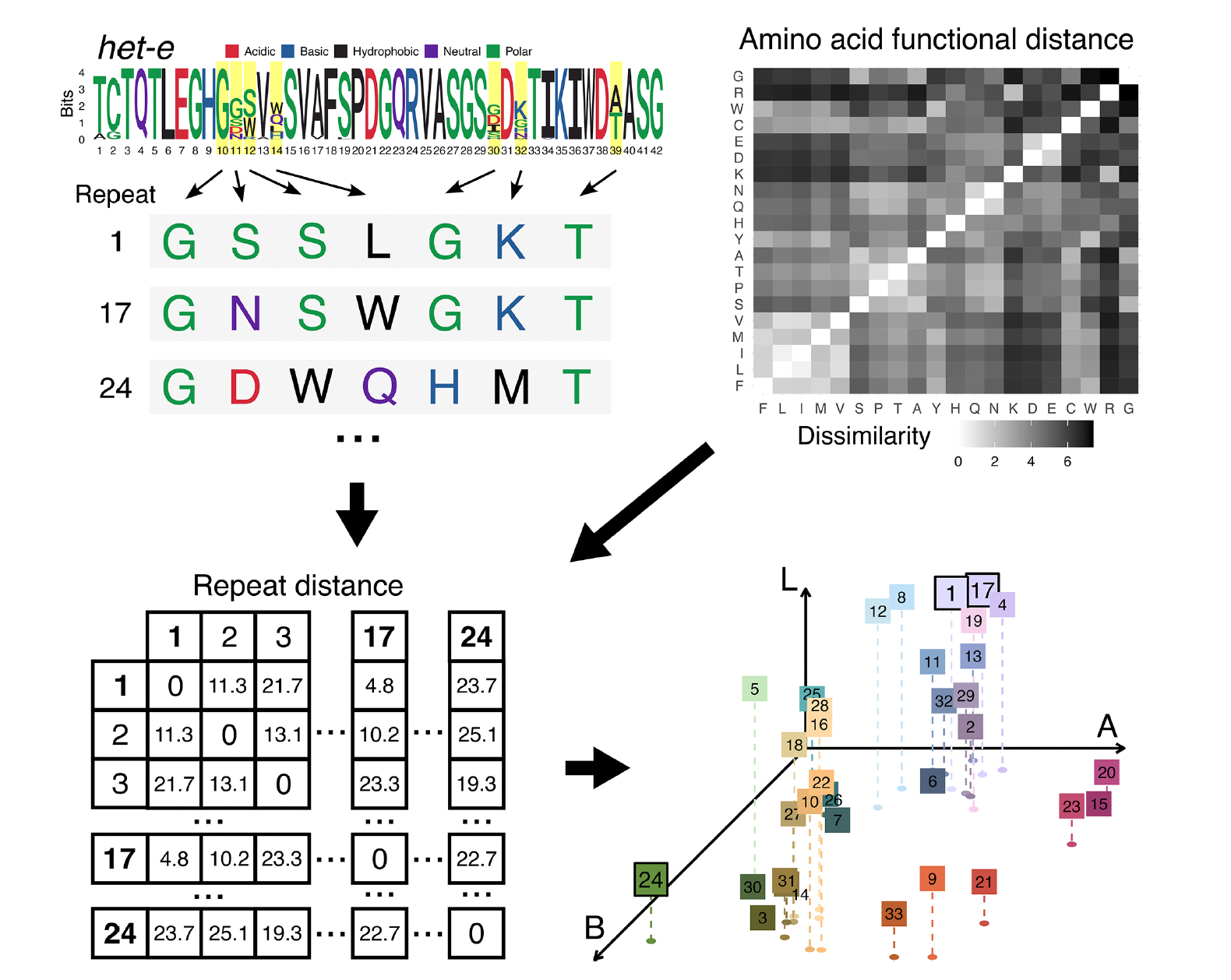 Reconstructing NOD-like receptor alleles with high internal conservation in Podospora anserina using long-read sequencing